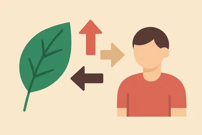 借りぐらしのアリエッティの英語あらすじを3パターン紹介！タイトルの違いと使える例文も解説